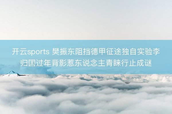 开云sports 樊振东阻挡德甲征途独自实验李归国过年背影惹东说念主青睐行止成谜