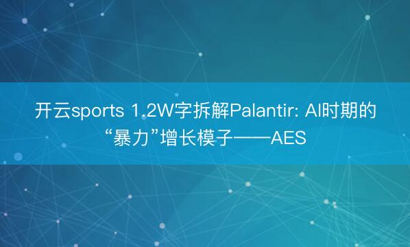 开云sports 1.2W字拆解Palantir: AI时期的“暴力”增长模子——AES